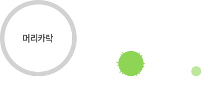 미세먼지와 초미세먼지 크기 비교