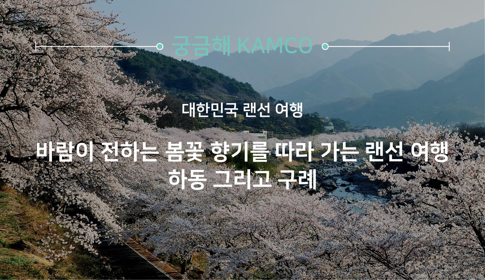 궁금해 캠코